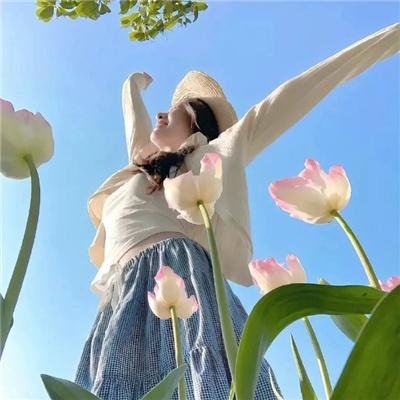 嗜血狂蜂